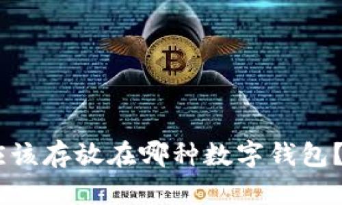 SHIB币应该存放在哪种数字钱包？全面指南