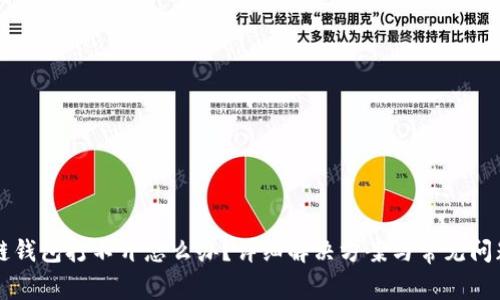 区块链钱包打不开怎么办？详细解决方案与常见问题解析