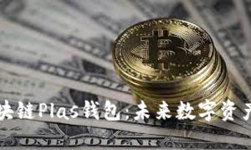 深入了解区块链Plas钱包：未来数字资产的安全开端