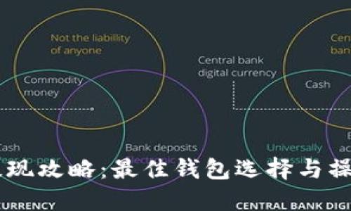 USDT提现攻略：最佳钱包选择与操作步骤