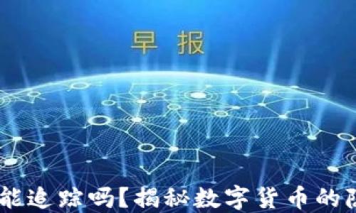 
USDT钱包地址能追踪吗？揭秘数字货币的隐私性与透明性