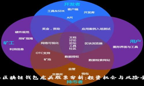 2023年区块链钱包龙头股票分析：投资机会与风险全面解析