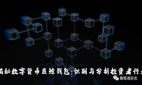 揭秘数字货币巨鲸钱包：识别与分析投资者行为