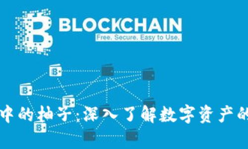 以太坊钱包中的柚子：深入了解数字资产的存储与管理