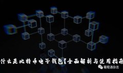 什么是比特币电子钱包？全面解析与使用指南