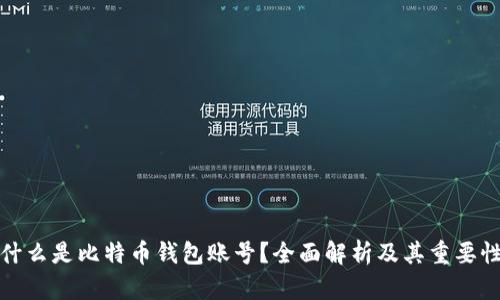 什么是比特币钱包账号？全面解析及其重要性