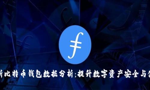 全面解析比特币钱包数据分析：提升数字资产安全与使用效率