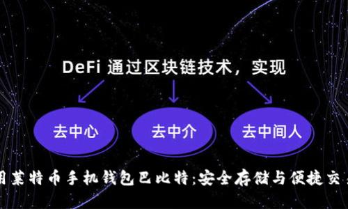 如何使用莱特币手机钱包巴比特：安全存储与便捷交易的指南