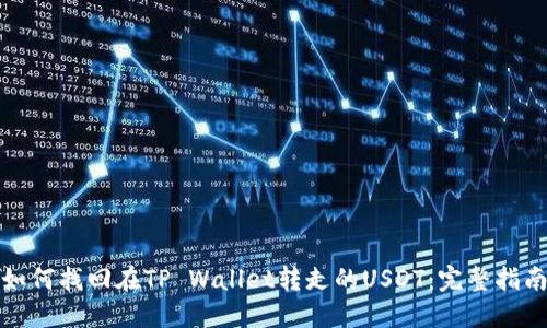 如何找回在TP Wallet转走的USDT：完整指南