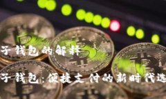电子钱包的解释电子钱包：便捷支付的新时代选