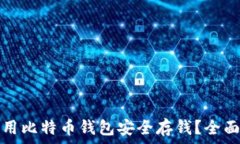  如何用比特币钱包安全存钱？全面指南