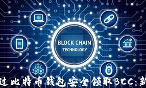 
如何通过比特币钱包安全领取BCC：新手指南