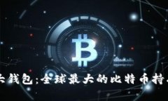 揭秘比特币最大钱包：全球最大的比特币持有者