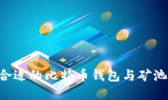 如何选择合适的比特币钱包与矿池：新手指南