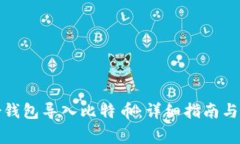 如何通过身份钱包导入比特币：详细指南与常见