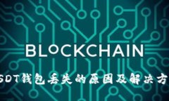 USDT钱包丢失的原因及解决方案