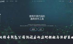 比特币钱包公司倒闭后的应对措施与保护策略