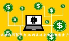 全面解析区块链钱包平台：选择最适合你的数字