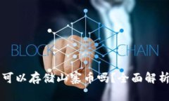 比特币钱包可以存储山寨币吗？全面解析与实用