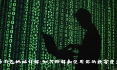虚拟币钱包地址详解：如何理解和使用你的数字