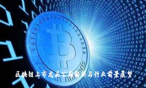 区块链上市龙头公司解析与行业前景展望