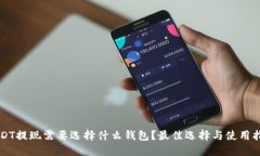 USDT提现需要选择什么钱包？最佳选择与使用指南