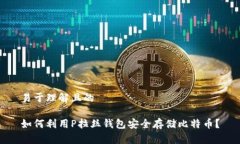 易于理解且的如何利用P拉丝钱包安全存储比特币