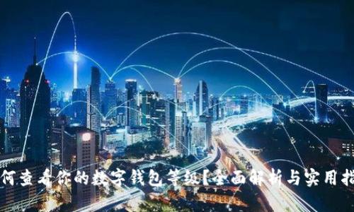 如何查看你的数字钱包等级？全面解析与实用指南