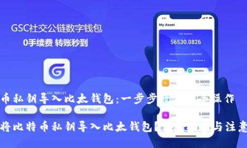 比特币私钥导入比太钱包：一步步教你安全操作

如何将比特币私钥导入比太钱包？详尽指南与注意事项