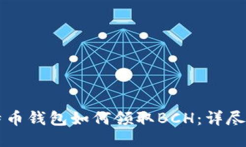 比特币钱包如何领取BCH：详尽指南