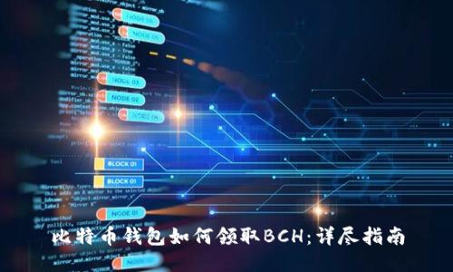 比特币钱包如何领取BCH：详尽指南