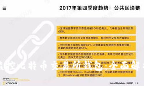 如何有效地监控比特币交易所钱包：全面解析与实用指南