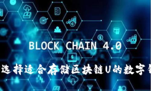 如何选择适合存储区块链U的数字钱包？