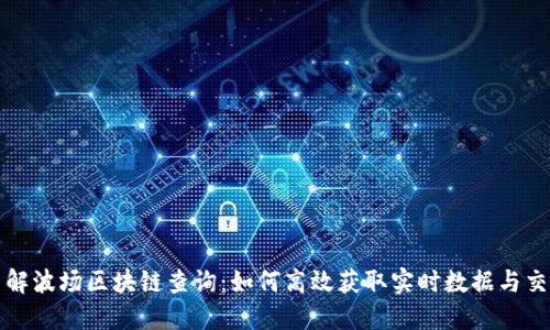 深入了解波场区块链查询：如何高效获取实时数据与交易信息