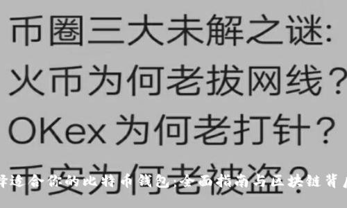 如何选择适合你的比特币钱包：全面指南与区块链背后的秘密