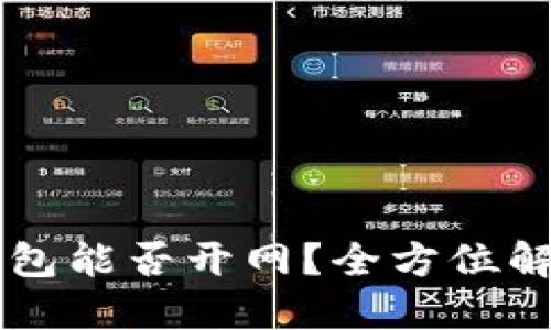 区块链Plus钱包能否开网？全方位解读及用户指南
