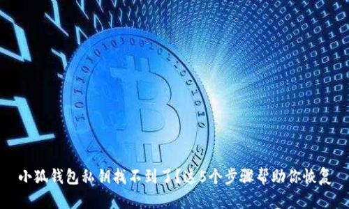 小狐钱包私钥找不到了？这5个步骤帮助你恢复