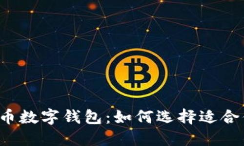 jiaoti安全高效的虚拟币数字钱包：如何选择适合你的数字资产管理工具