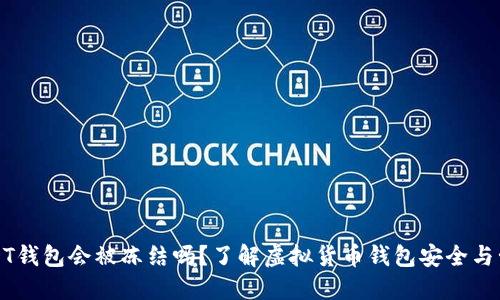 USDT钱包会被冻结吗？了解虚拟货币钱包安全与管理