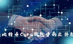 深入解析：比特币Core钱包中的文件结构与功能