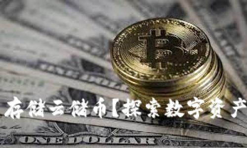 比特币钱包能否存储云储币？探索数字资产管理的全新视角