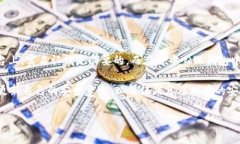   USDT注册钱包地址：是否需要实名认证的全面解