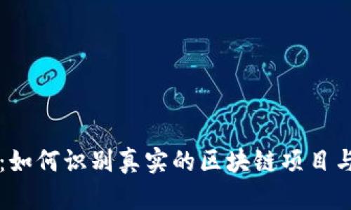 深入剖析：如何识别真实的区块链项目与虚假骗局