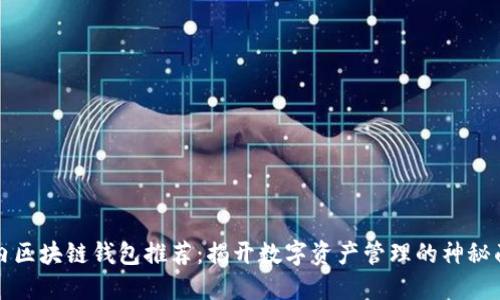 国内区块链钱包推荐：揭开数字资产管理的神秘面纱