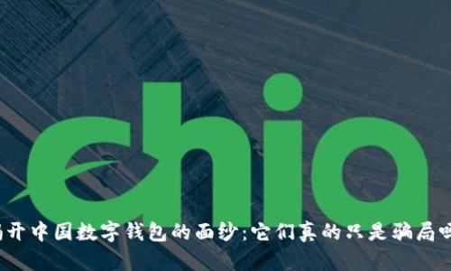 揭开中国数字钱包的面纱：它们真的只是骗局吗？