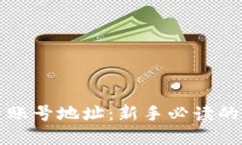 如何安全管理虚拟币账号地址:新手必读的防护技巧与最佳实践
