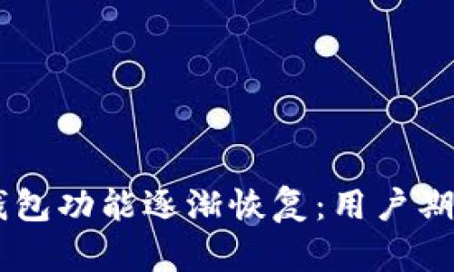 Plus Token钱包功能逐渐恢复：用户期待的重生之路
