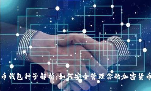 比特币钱包种子解析：如何安全管理你的加密货币资产