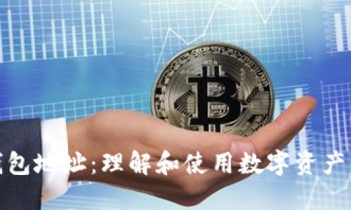 加密钱包地址:理解和使用数字资产的基础