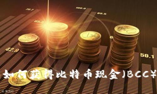 比特币钱包如何获得比特币现金（BCC）的详细指南